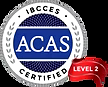 Advanced Certified Autism Specialist
